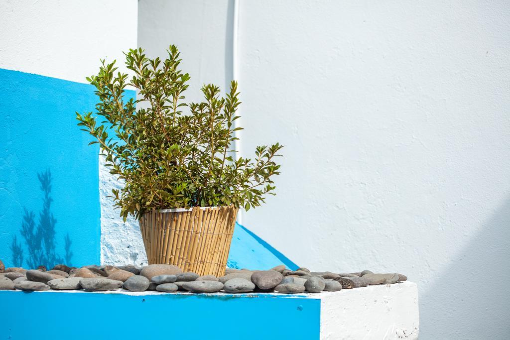 The Pallet - Guest House Santa Cruz - Madeira Exterior foto